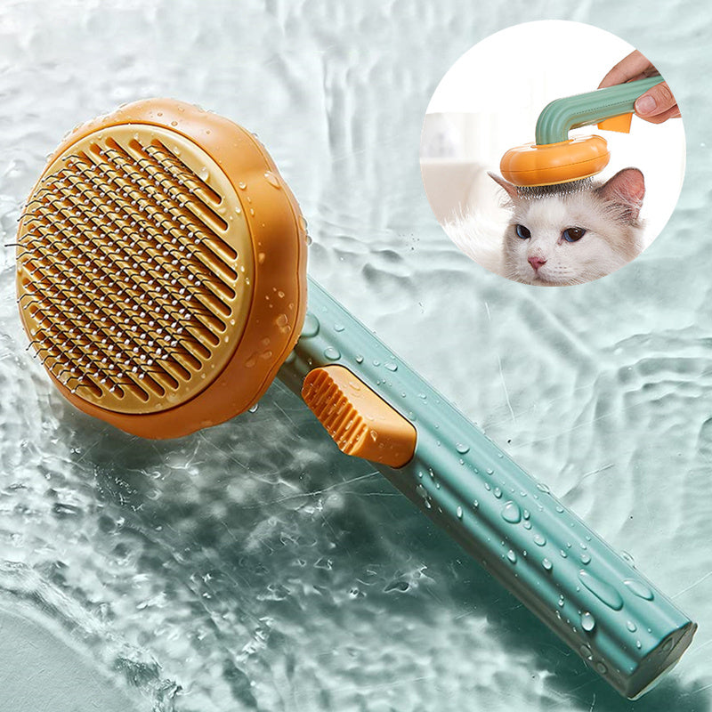 Cat Brush Hair Remover