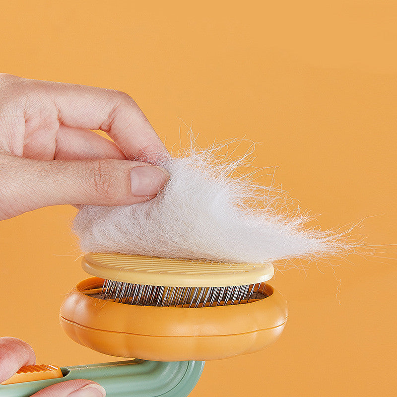 Cat Brush Hair Remover